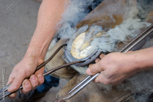 Tableau sur toile a farrier shoeing a horse