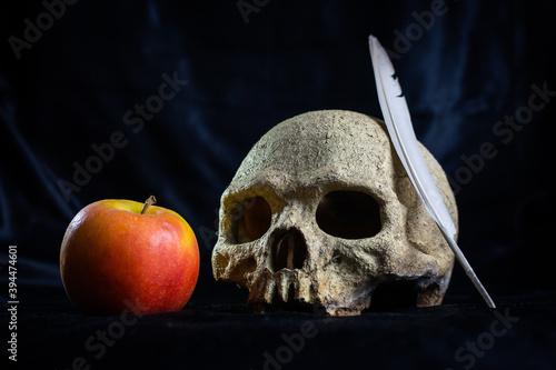 Old skull with red apple and feather concept photo