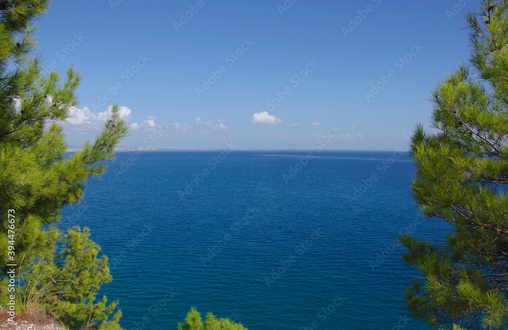View of the Mediterranean Sea through the branches of the trees. View of the Mediterranean Sea through the branches of the trees.