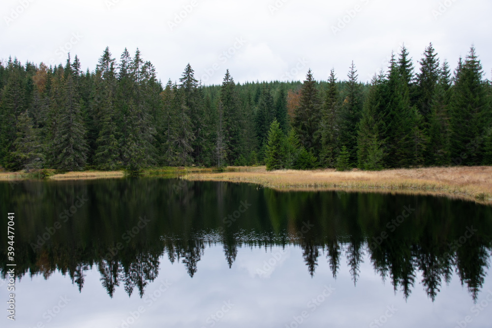 Polecka reservoir and mirroring of trees at Bohemian forest, Czech republic