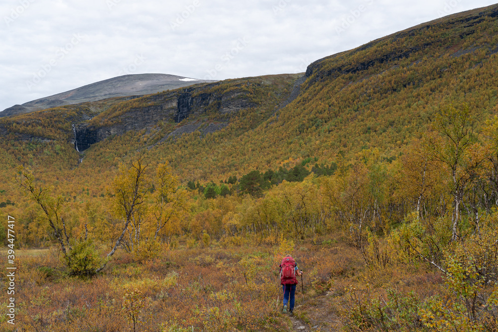 Fototapeta premium Hiker on a mountain path in autumn, Kiruna, Sweden