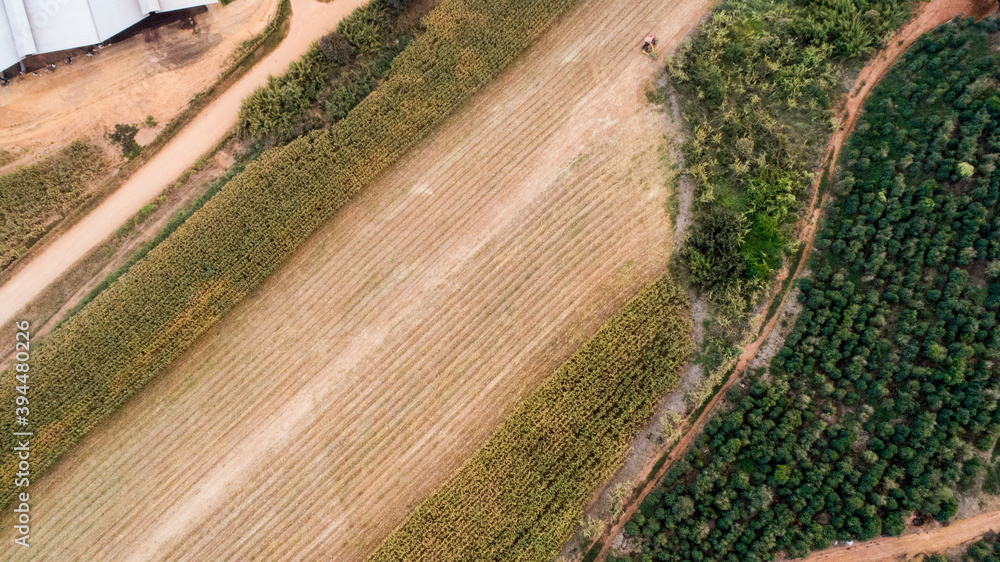 agriculture aerial view agriculture aerial view