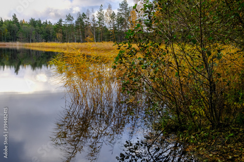 lake in autumn