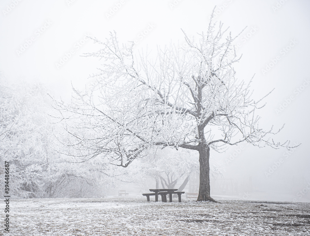 Bench in the public park in winter Bench in the public park in winter
