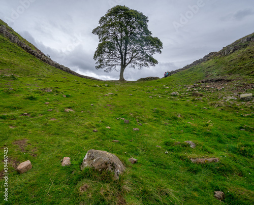 Sycamore Gap