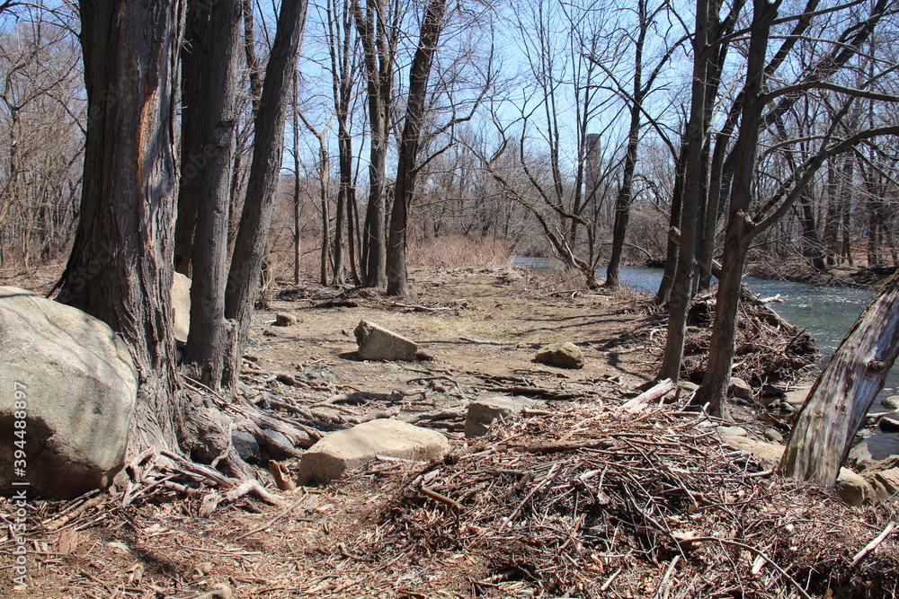 The Rockaway river in New Jersey in the winter. The Rockaway river in New Jersey in the winter.