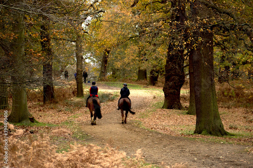 Two riders on their horses in the park in autumn