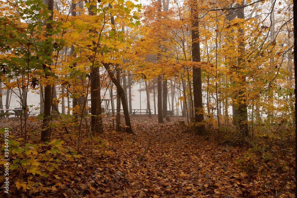 Fototapeta premium Autumn Fog at the Green Mountain Nature preserve in Huntsville Alabama