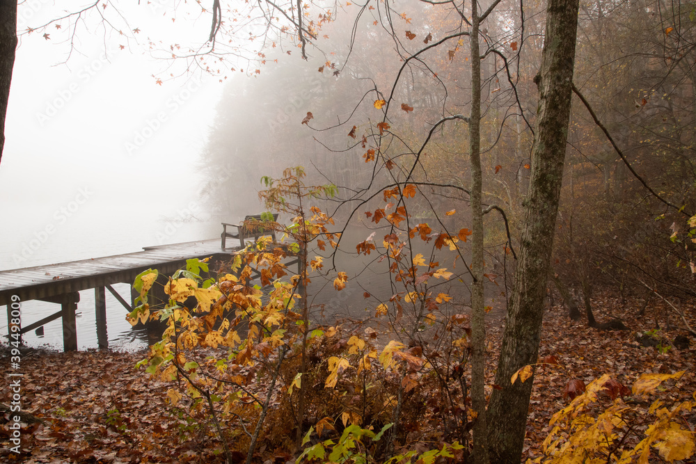 Autumn Fog at the Green Mountain Nature preserve in Huntsville Alabama