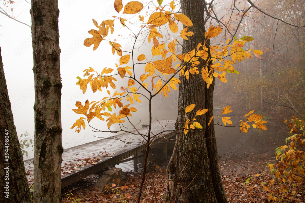 Autumn Fog at the Green Mountain Nature preserve in Huntsville Alabama