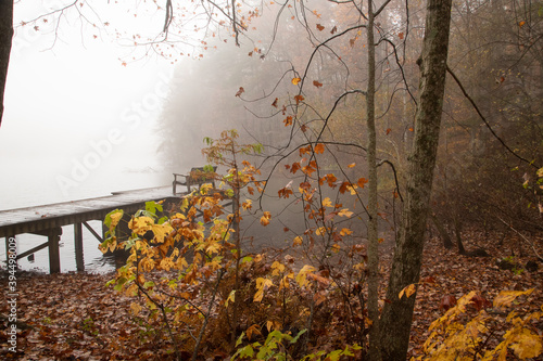 Obraz na płótnie Autumn Fog at the Green Mountain Nature preserve in Huntsville Alabama w salonie