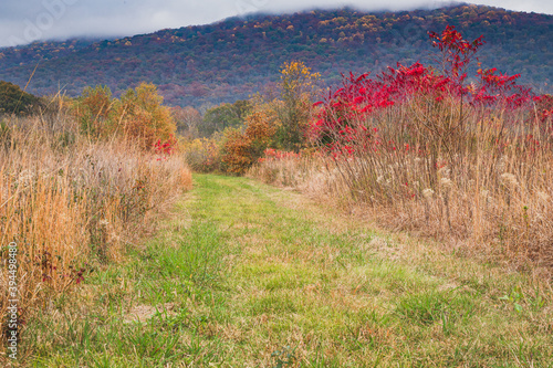 Foto Roy B. Whitaker Nature Preserve in Paint Rock Alabama