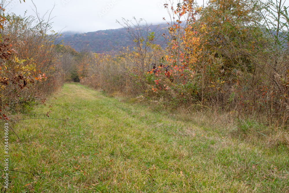 Roy B. Whitaker Nature Preserve in Paint Rock Alabama