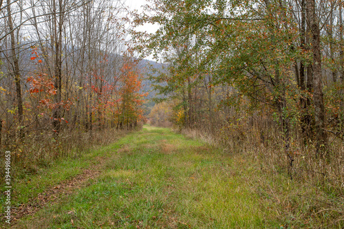 Roy B. Whitaker Nature Preserve in Paint Rock Alabama