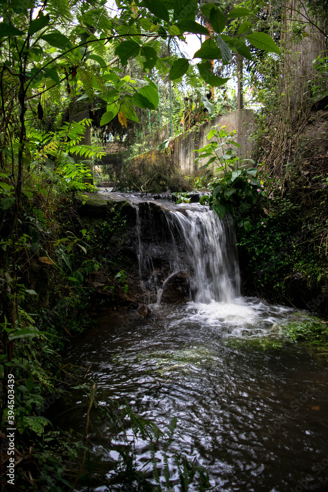 waterfall in the middle of the forest waterfall in the middle of the forest