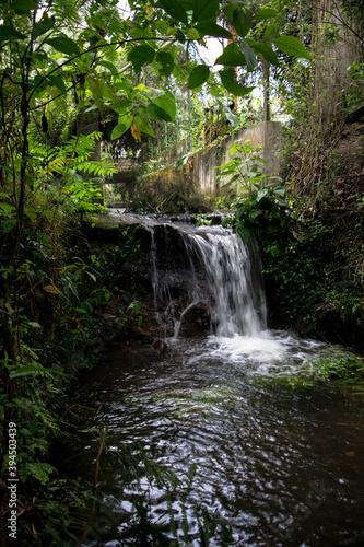 Fototapeta Naklejka Na Ścianę i Meble -  waterfall in the middle of the forest 