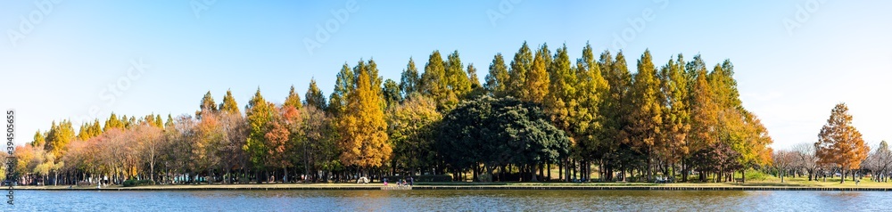 (東京都ｰ風景パノラマ)青空とみさと公園の風景２