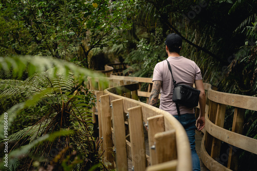 Young man walking on wooden bridge in New Zealand forest.Silver fern can be seen