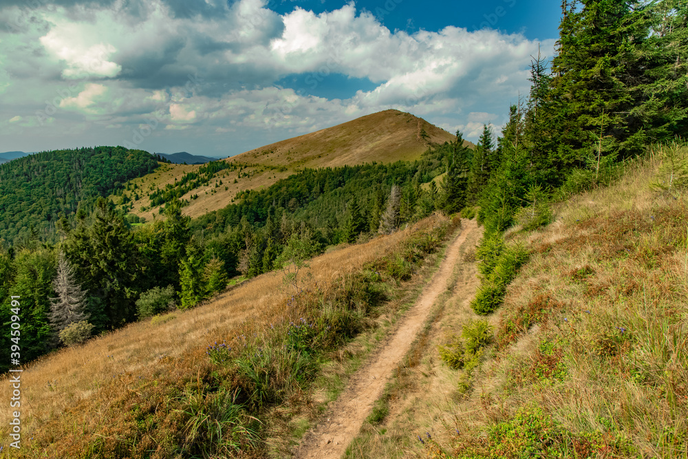 beautiful summer highland landscape nature photography scenic view of Carpathian mountain in Slovakia touristic hiking route in June clear weather day