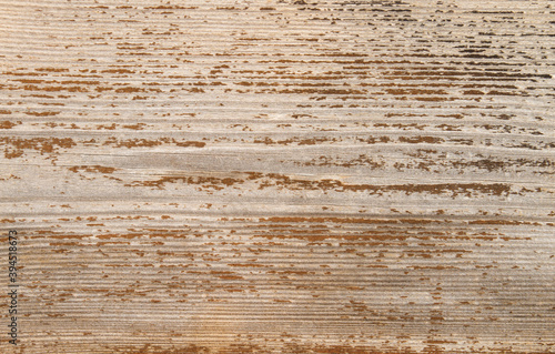 Old wood texture