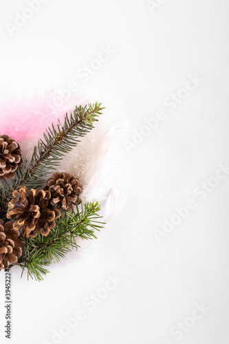 White Christmas background with tree branches, leaves, pinecones and decorative feathers. Flat lay. Nature Christmas concept. New year minimal