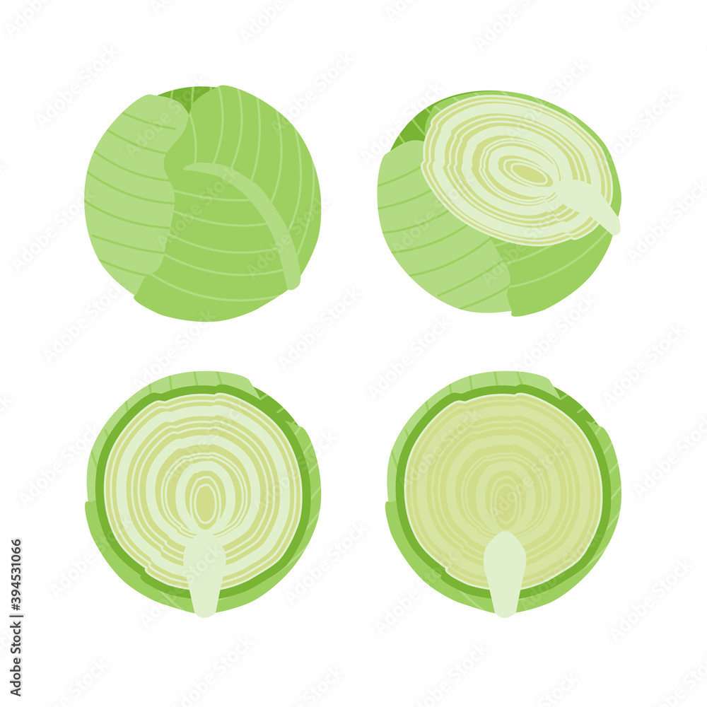 キャベツのシンプルなベクターイラスト Stock Vector Adobe Stock