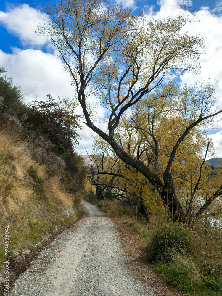 Tucker Beach Trail, Queenstown Area, New Zealand Tucker Beach Trail, Queenstown Area, New Zealand