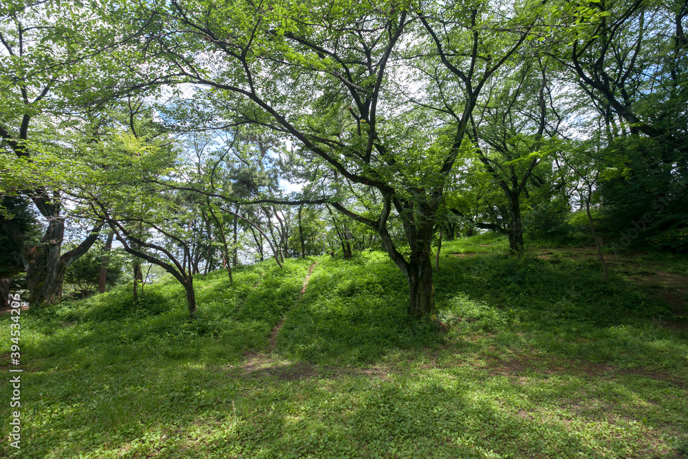 Obraz premium 梶ケ谷第1公園（神奈川県川崎市高津区）