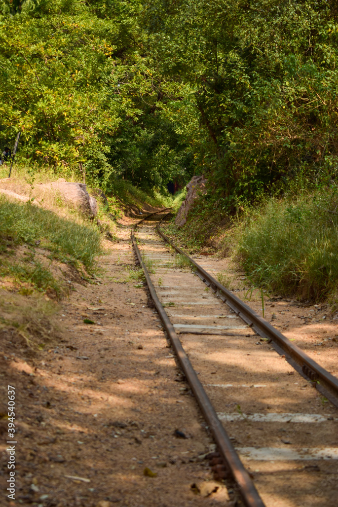 old abandoned Train Tracks in Forest stock photograph image old abandoned Train Tracks in Forest stock photograph image