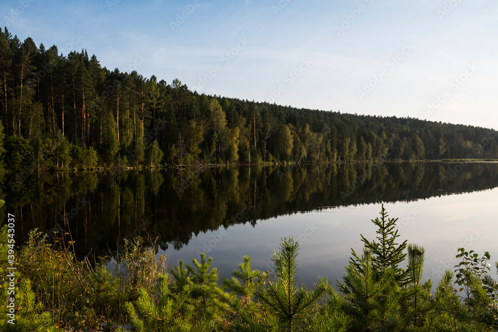 A beautiful view by the lake during sunset on a summer evening. Beautiful forest around A beautiful view by the lake during sunset on a summer evening. Beautiful forest around