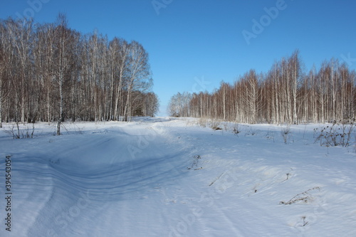 cleared road for driving in snow in winter in snowdrifts forest © Алла Мосурова