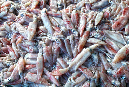 Fresh squid at the Tanjung Pandan Fish Market.