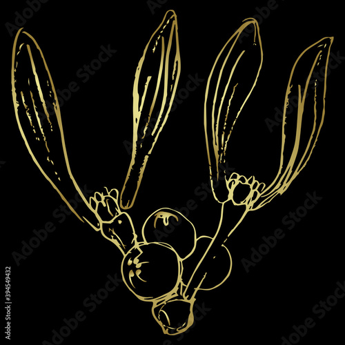 Branch of mistletoe. Viscum album. Floral decoration. Hand drawn linear sketch. Golden silhouette on black background.