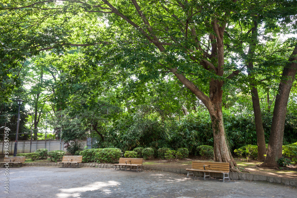 Obraz premium 下馬中央公園（東京都世田谷区下馬）