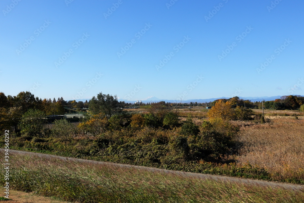 Fototapeta premium 日本 埼玉の風景