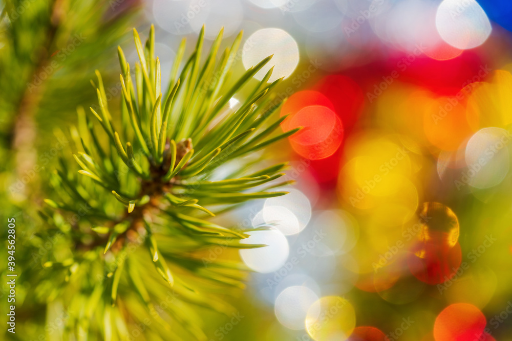 Close-up of Christmas pine tree branch with needles. Xmas ornament decorations for Happy New Year. Selective soft focus on foreground. Lens flare photo effect, holiday blurry bubble bokeh background. Close-up of Christmas pine tree branch with needles. Xmas ornament decorations for Happy New Year. Selective soft focus on foreground. Lens flare photo effect, holiday blurry bubble bokeh background.