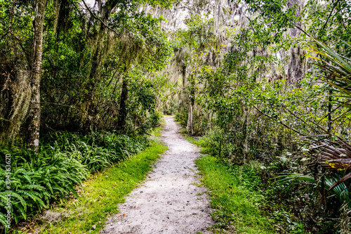 Timicuan Ecological and Historic Preserve trails