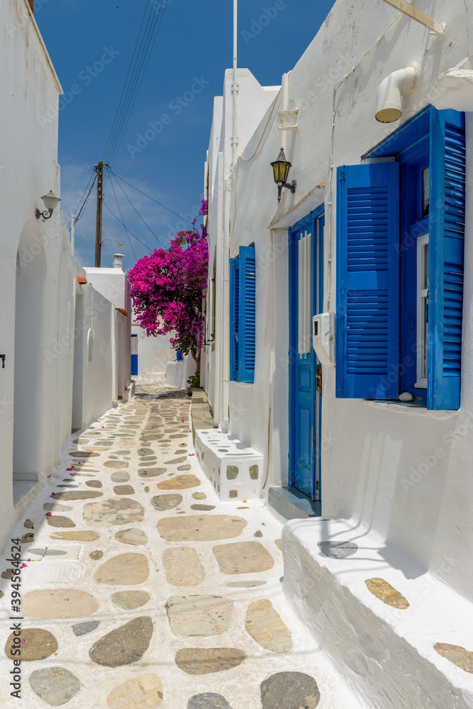 Picturesque alley in Prodromos Paros greek island with a full blooming bougainvillea !! Whitewashed traditional houses with blue door  and flowers all over !!!