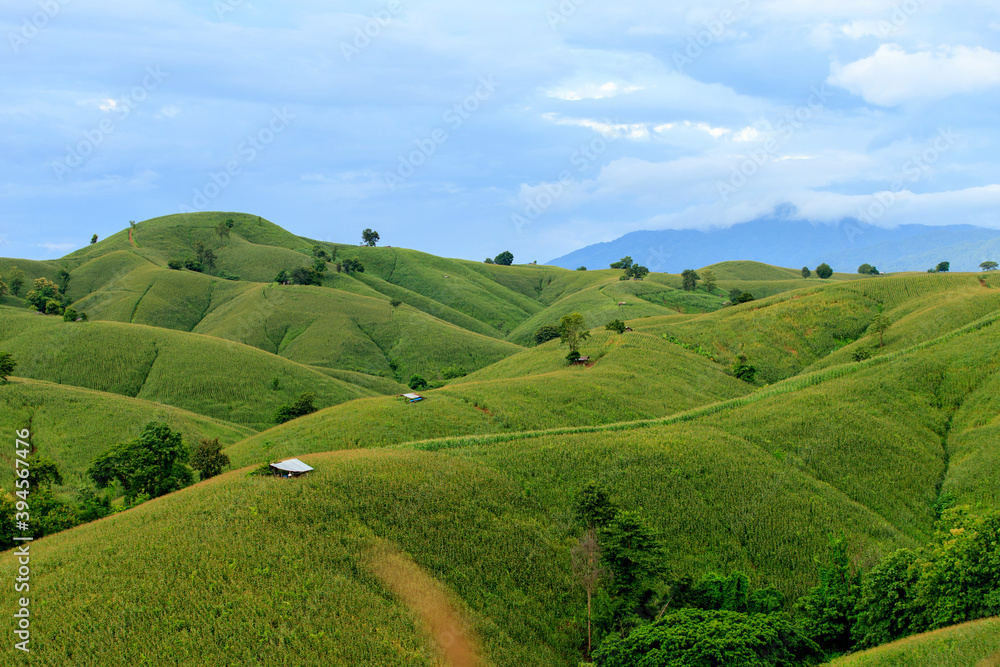 Obraz premium Beautiful summer landscape in the mountains with the sunset