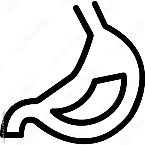 
Stomach Vector Icon
