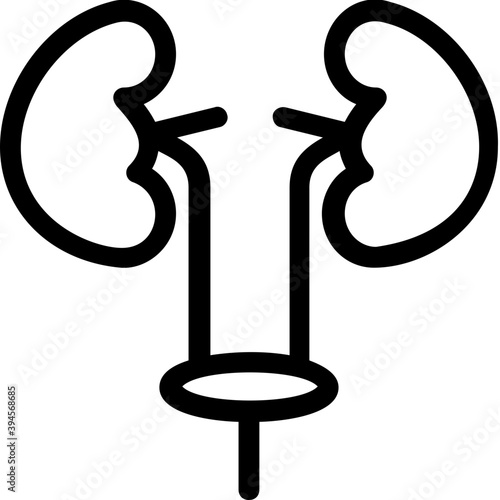 
Kidneys Vector Icon
