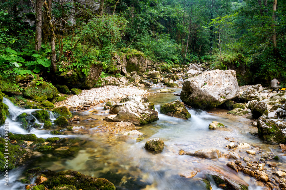 Fototapeta premium River deep in mountain forest. Nature composition