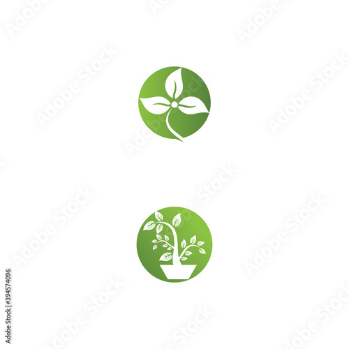 Leaf ecology Logo Template vector