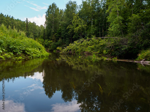 A trip on a catamaran through the quiet forest river on beautiful sunny summer days. Unique natural locations far from civilization.