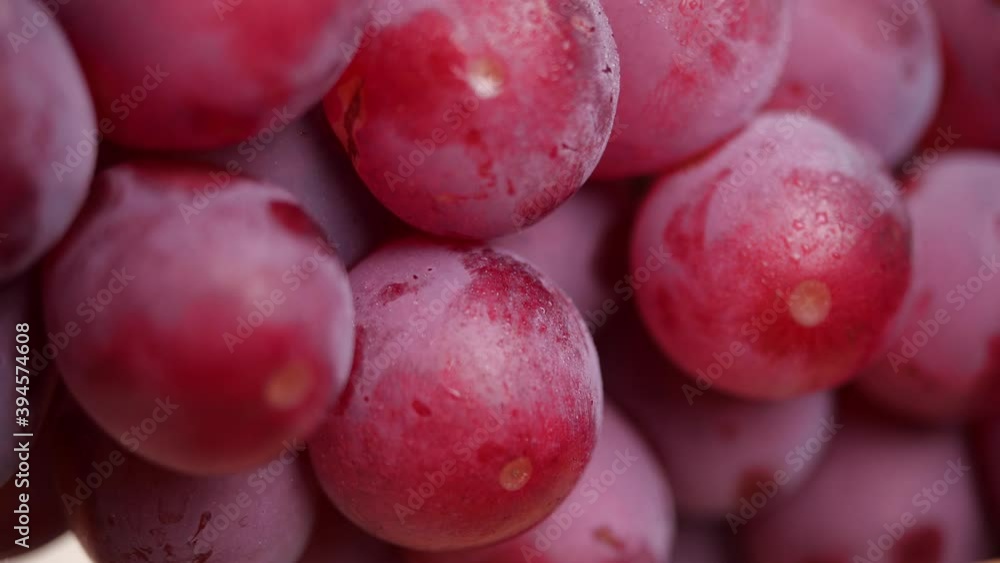 Close-up of red grapes. Grape in dolly shot Close-up of red grapes. Grape in dolly shot