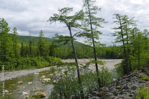 Bild auf Leinwand Headwaters of the  Bureya River
