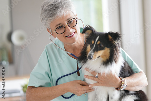 Cheerful veterinarian woman with dog photo