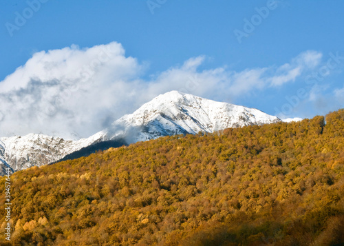 snow covered mountains
