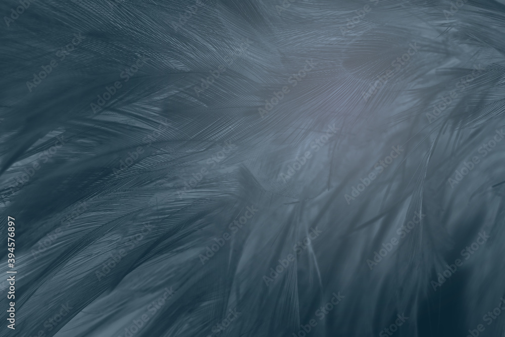 Obraz premium Beautiful dark black feather pattern texture background
