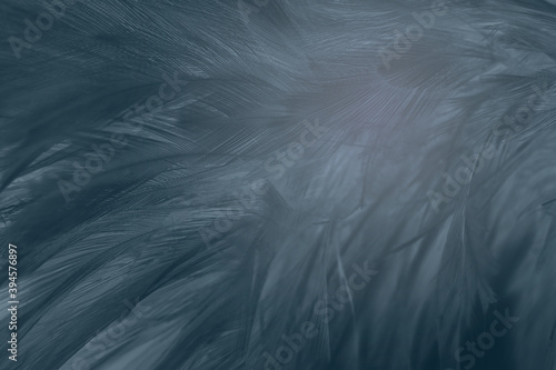 Beautiful dark black feather pattern  texture background © nadtytok28